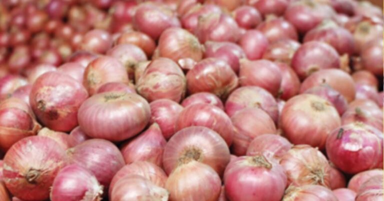 Google Ads Landscape Static Image_20250817_164718_0000