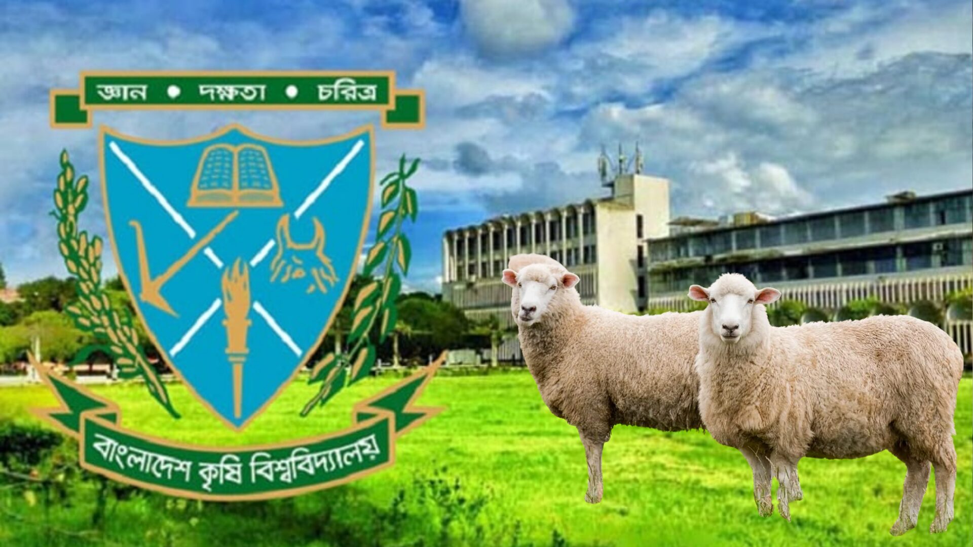 বাংলাদেশ কৃষি বিশ্ববিদ্যালয়ে ভেড়া চুরি