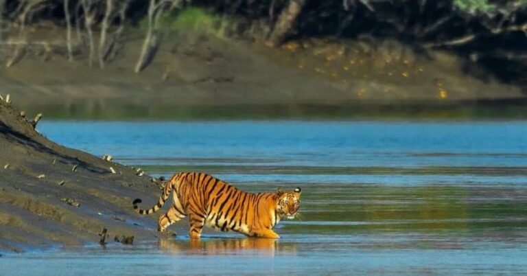 Google Ads Landscape Static Image_20251012_173422_0000