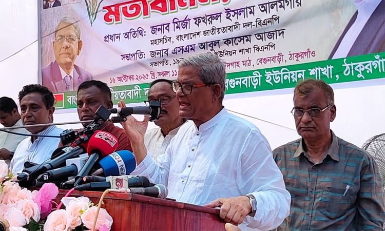 Mirza Fakhrul 16252010