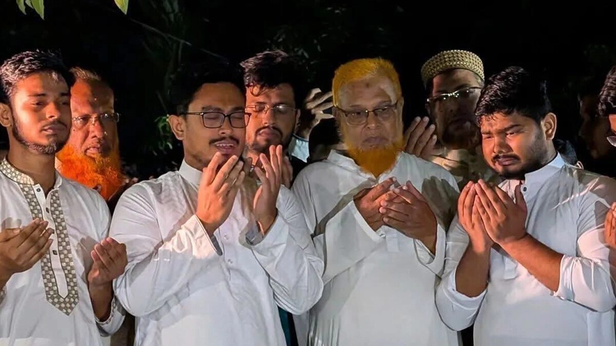 ভিপি সাদিক