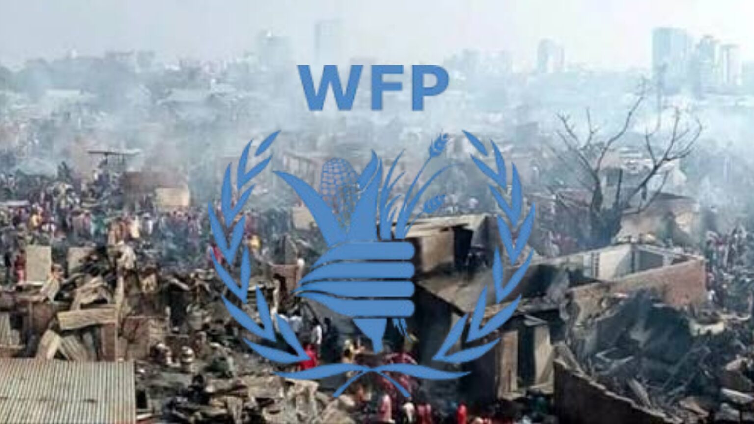 Image DhakaChat 20251128_142505_0000