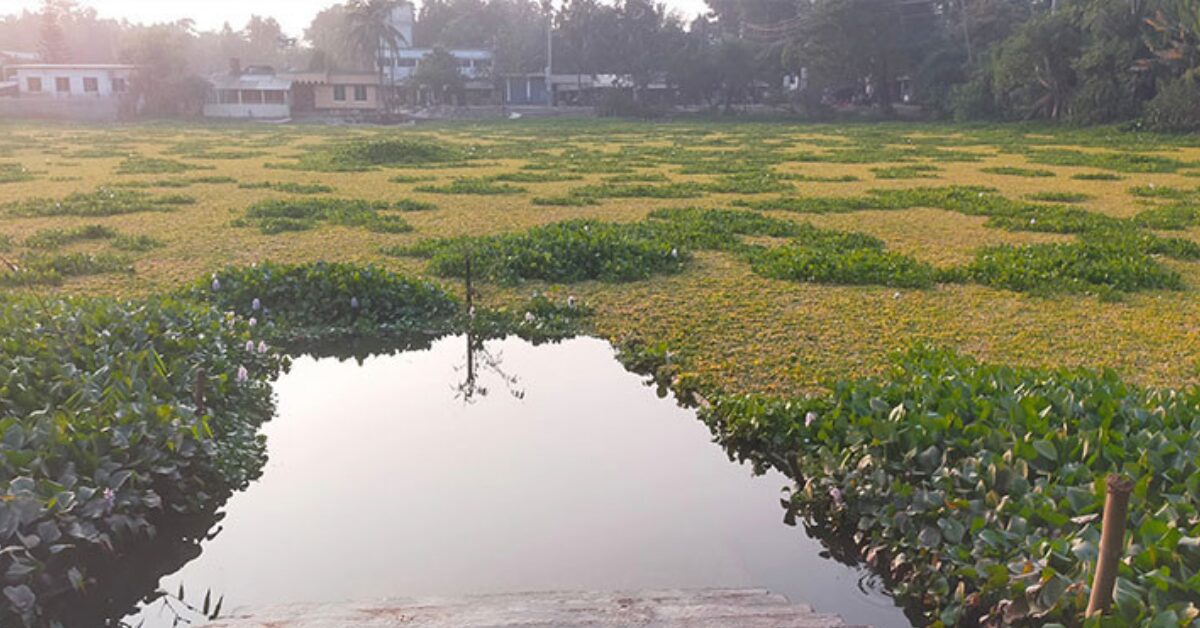 Google Ads Landscape Static Image_20251207_222236_0000