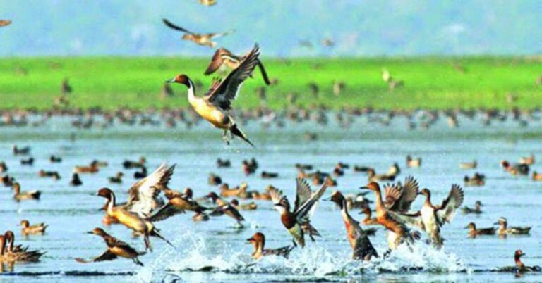 Google Ads Landscape Static Image_20251208_120853_0000