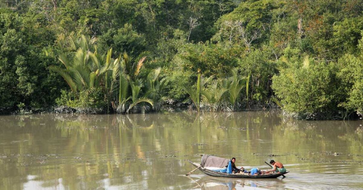 Google Ads Landscape Static Image_20251208_181750_0000