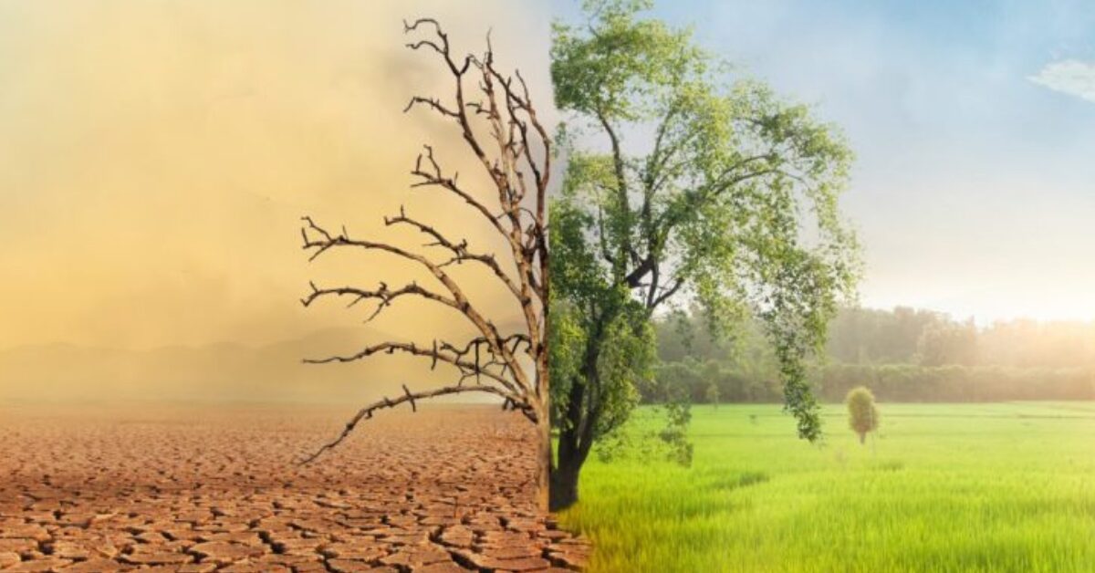 Google Ads Landscape Static Image_20251208_205830_0000