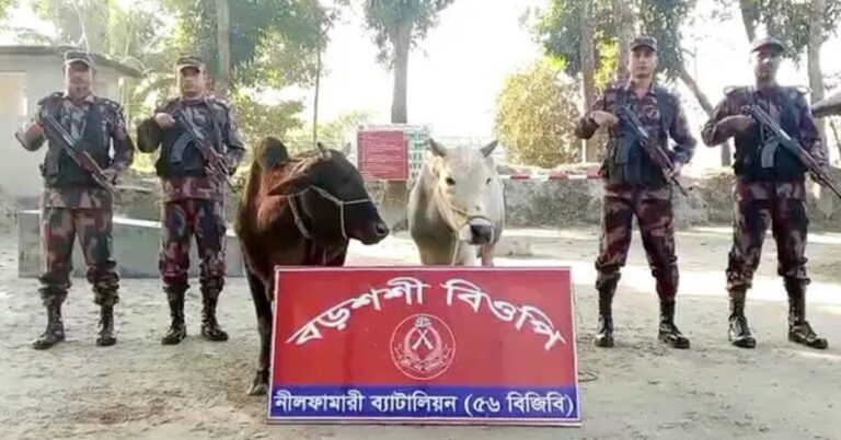 Google Ads Landscape Static Image_20251209_123348_0000