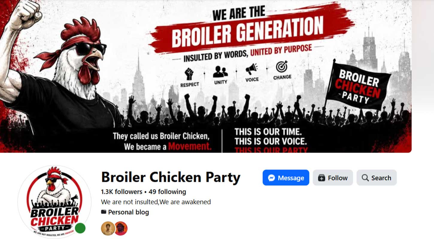 Broiler Chicken Party
