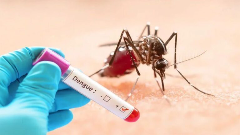 dengue-6a54c6d90d114-6a58c024a08d9